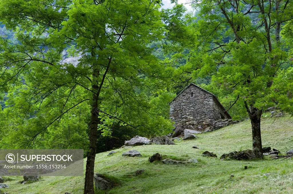 Switzerland, Tessin, Valle Verzasca, Brione, Val Osola, hillside, stone_house, rustic