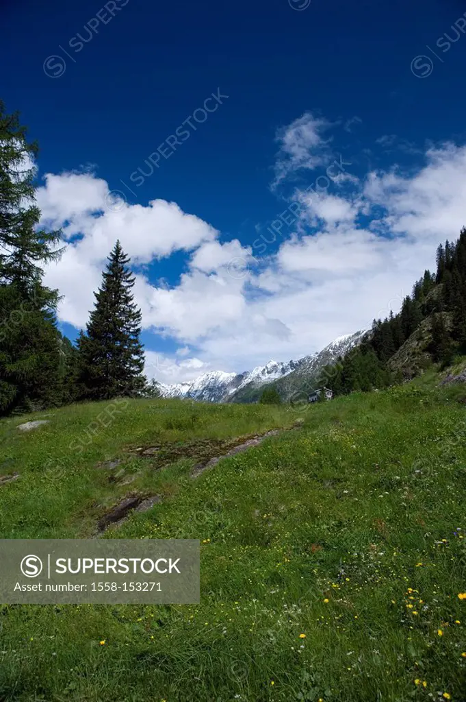 Switzerland, Tessin, Valle Maggia, Fusio, mountain scenery,