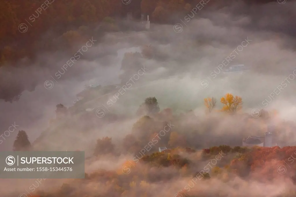 Ruin Hardenstein in the fog. Mist over the Ruhr, morning mood over Witten with fog banks, Witten, Ruhr area, North Rhine-Westphalia, Germany
