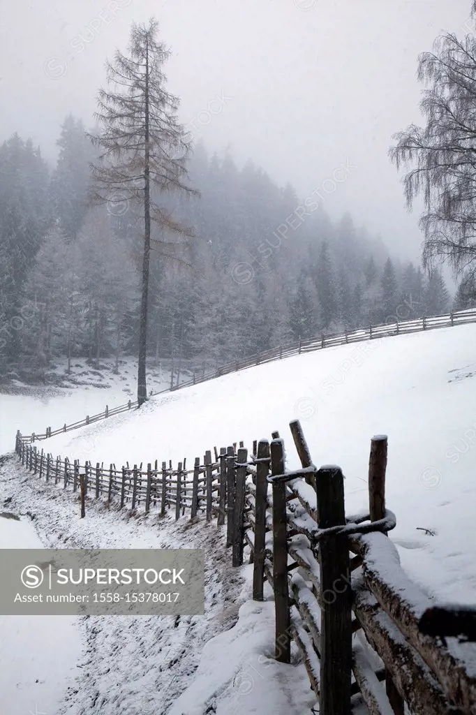 Winter landscape in the South Tyrolean Ultental