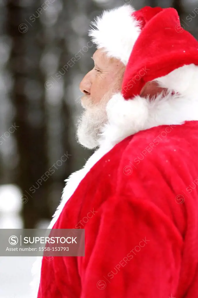 Winter forest, Santa Claus, side portrait,