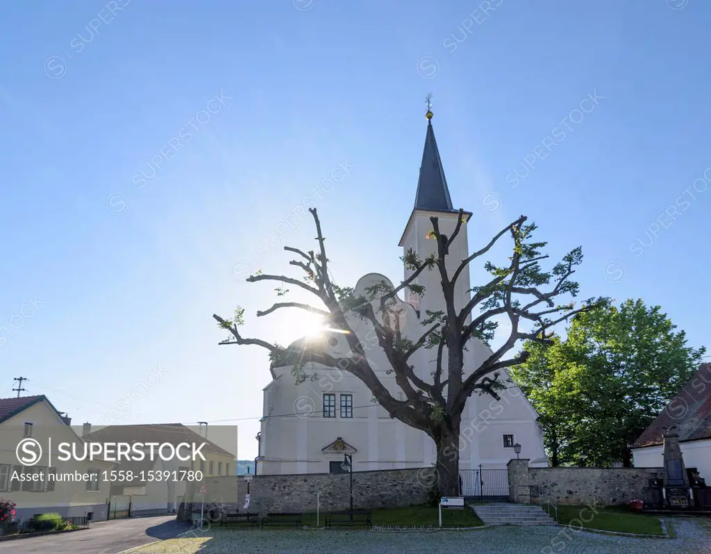 Mannersdorf an der Rabnitz, church in Rattersdorf in Austria, Burgenland, Mittelburgenland