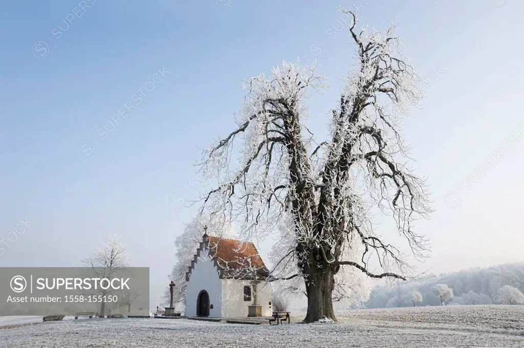 Germany, Baden_Wuerttemberg, Walzbachtal, Joehlingen, Joehlinger chapel, Mariahilf winter, hoarfrost,