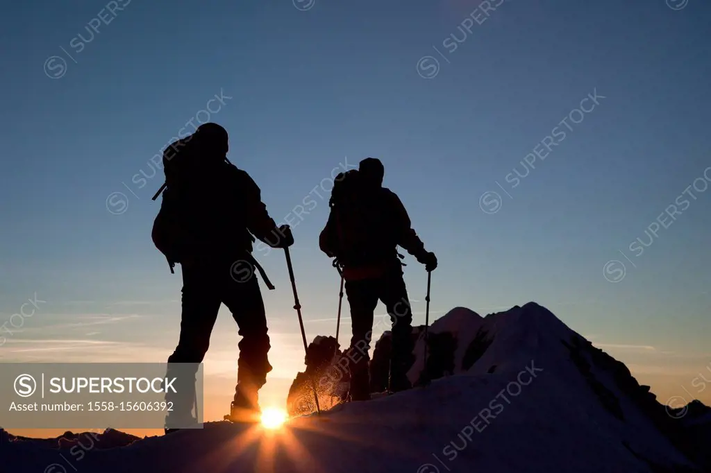 Ski tour to the Watzespitze at dawn, Kaunergrat, Ötztaler Alps, Tyrol, Austria