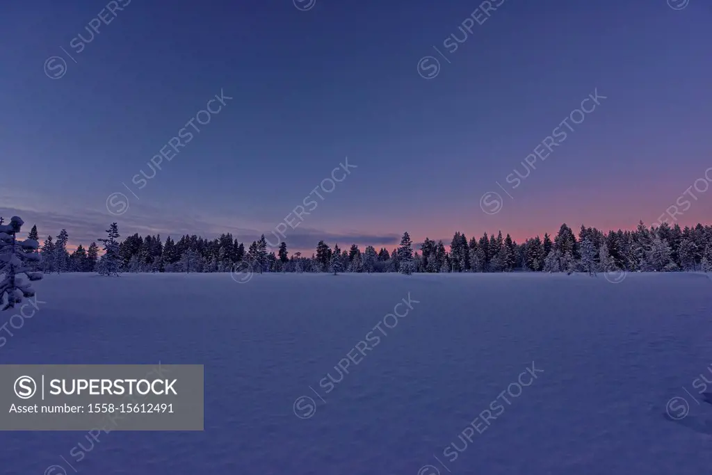 Winter landscape in Pallas Yllästunturi National Park