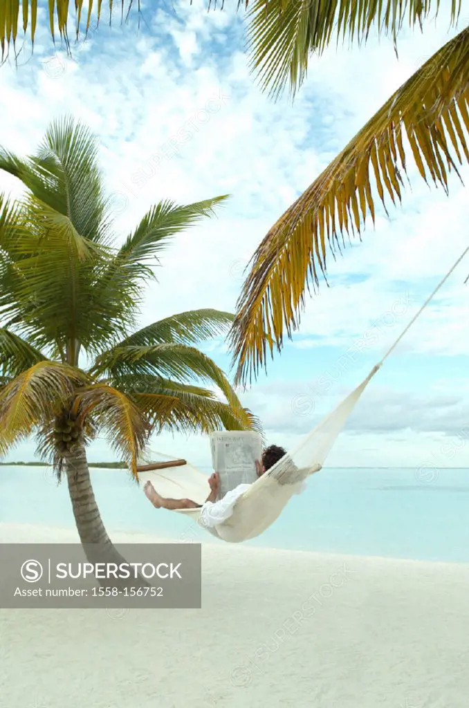 palm beach, man, hammock