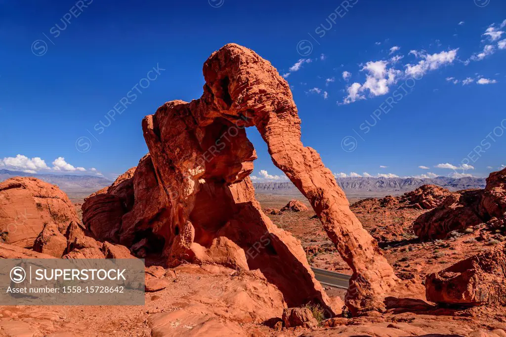 USA, Nevada, Clark County, Overton, Valley of Fire State Park, Elephant Rock