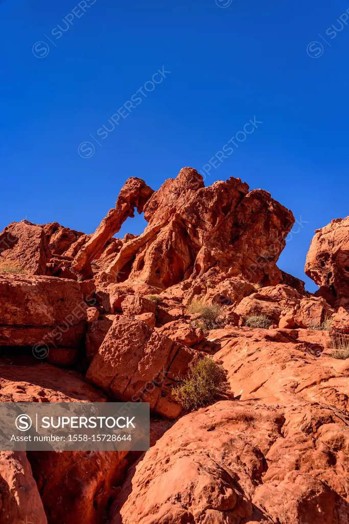 USA, Nevada, Clark County, Overton, Valley of Fire State Park, Elephant Rock