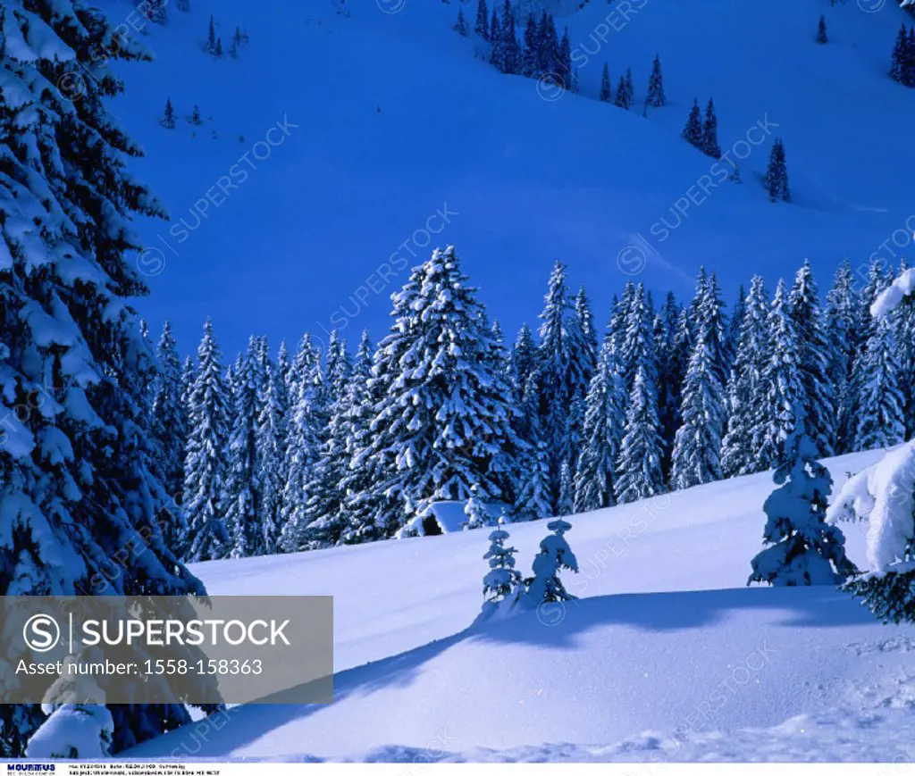 Mountain, Landscape, Wood, Snow