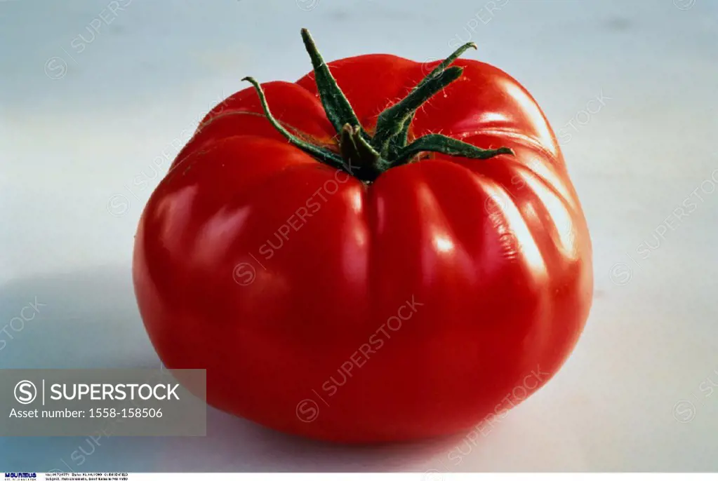 Beef tomato, Lycopersicon esculentum