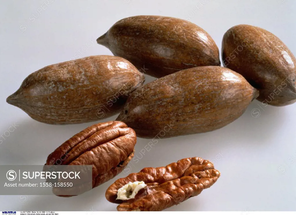 Nuts, Hickory nuts, Nut