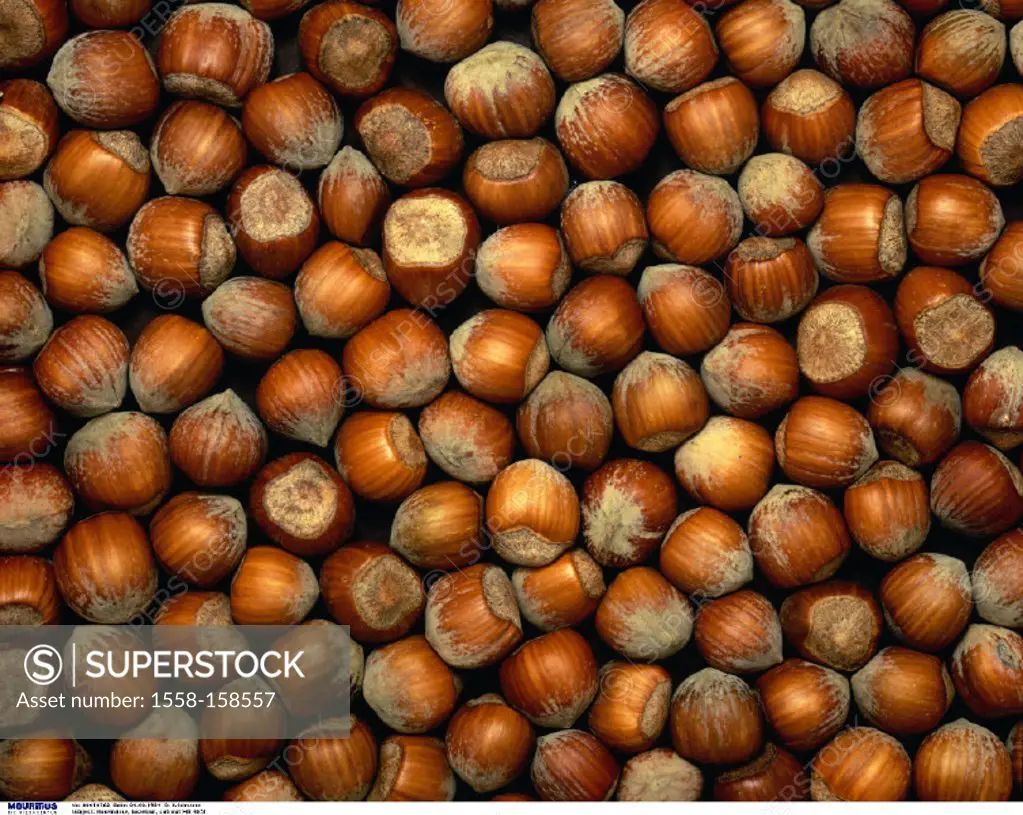Hazelnuts, Nuts, Nut, Hazelnut