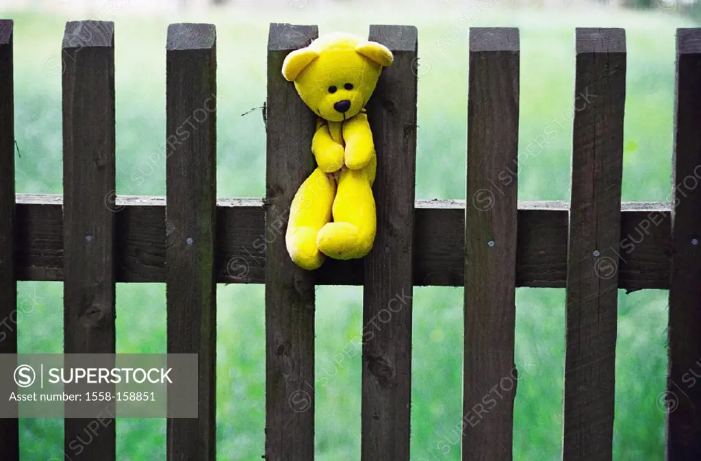 Wood fence, teddy, fence