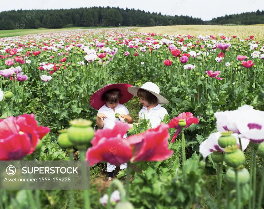 poppy field, girls, flowers