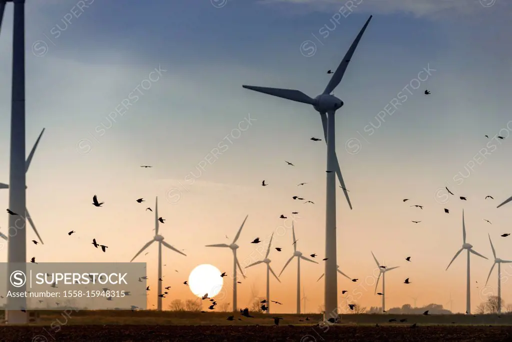 Germany, Lower Saxony, East Frisia, wind power plant near Emden,