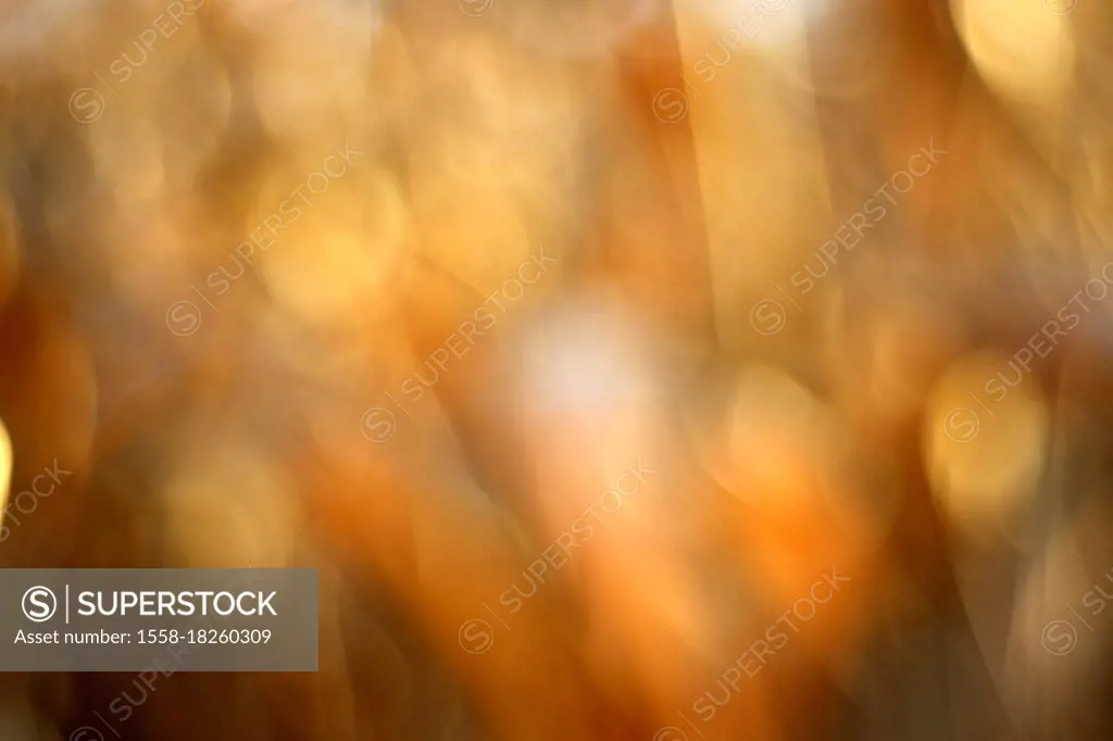 Nature, out of focus, abstract