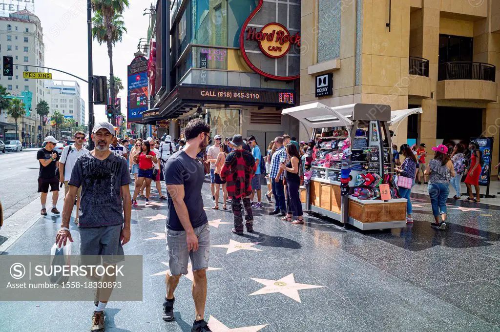 Walk of Fame in Hollywood, Los Angeles, California, USA