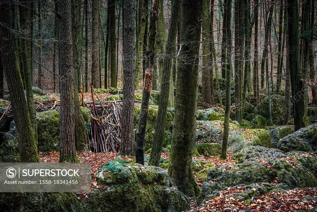 Druid grove in Franconian Switzerland, Bavaria