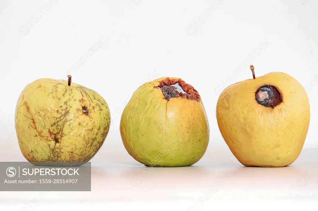 Spoiled, dehydrated and rotten apples, fruit isolated on white background
