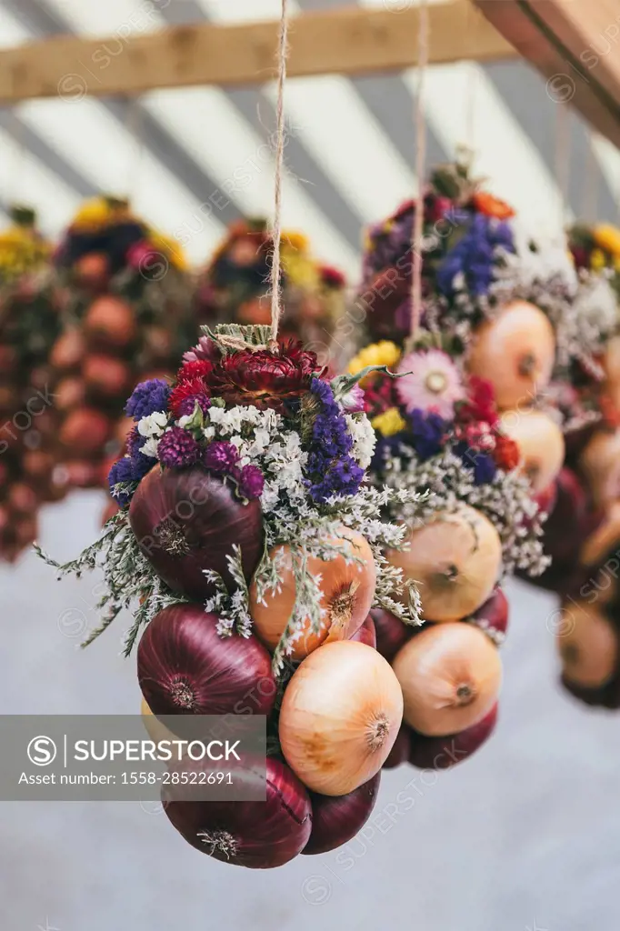 Traditional Zibelemärit, onion market in Bern, Switzerland, edible onions (Allium cepa), close-up, onion plait