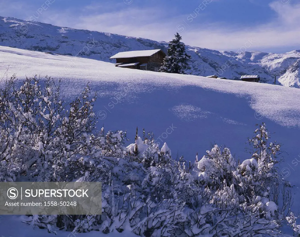 Winter landscape, mountain hut, shrubs, mountains, mountains, Highlands, winters, snow, trees, landscape, nature, snow-covered, season