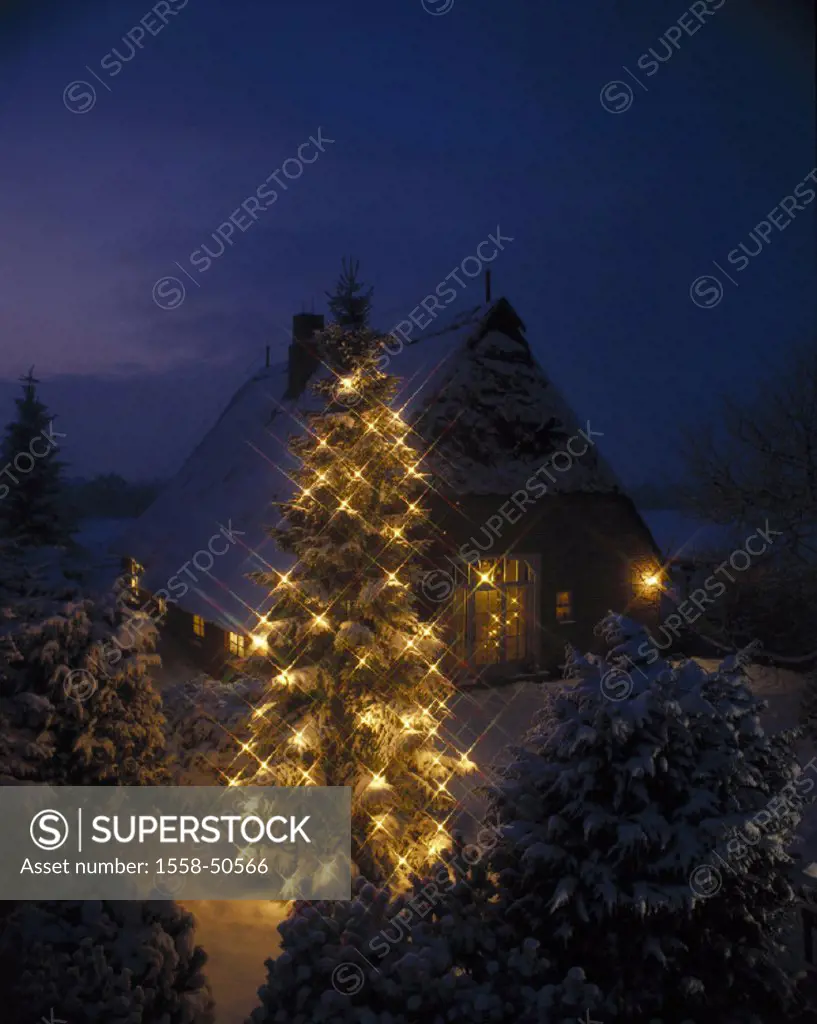 Christmas tree, farmhouse, old, night, Germany, Lower Saxony, winters, Christmas, Christmas time, Christmas-like, snow, snow-covered, Christmas tree, ...