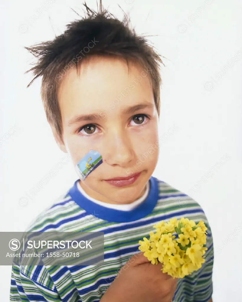Boy, small, cowslips, guiltily, portrait, studio, face, cheek, Band-Aid, adhesive tapes, flower bouquet, picked, excuse me, regrets, sad