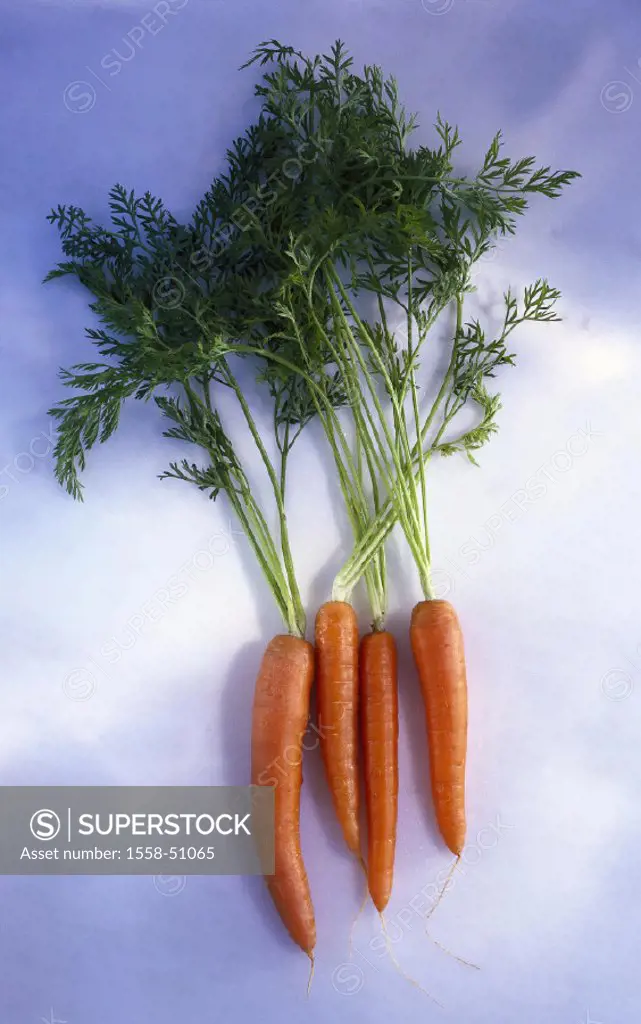 Carrots, Still life