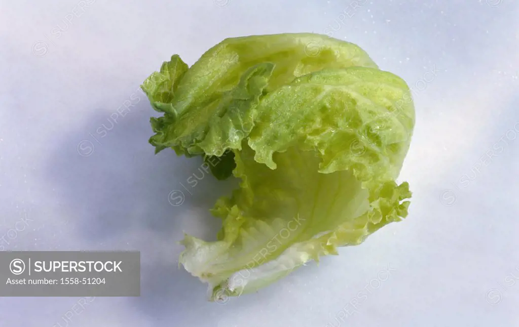 Salad leaf, Iceberg lettuce, Still life