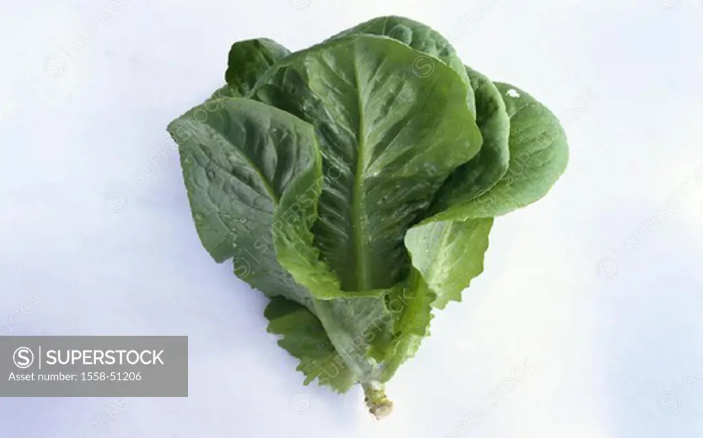 Cos lettuce, Salad