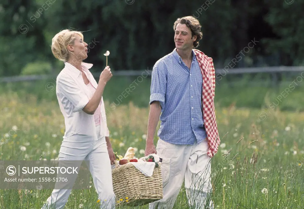 Meadow, couple, picnic basket, carries, summer, picnic, basket, food, leisure time, goes, together, eye contact, contentment, happily, trip, fun, joy,...