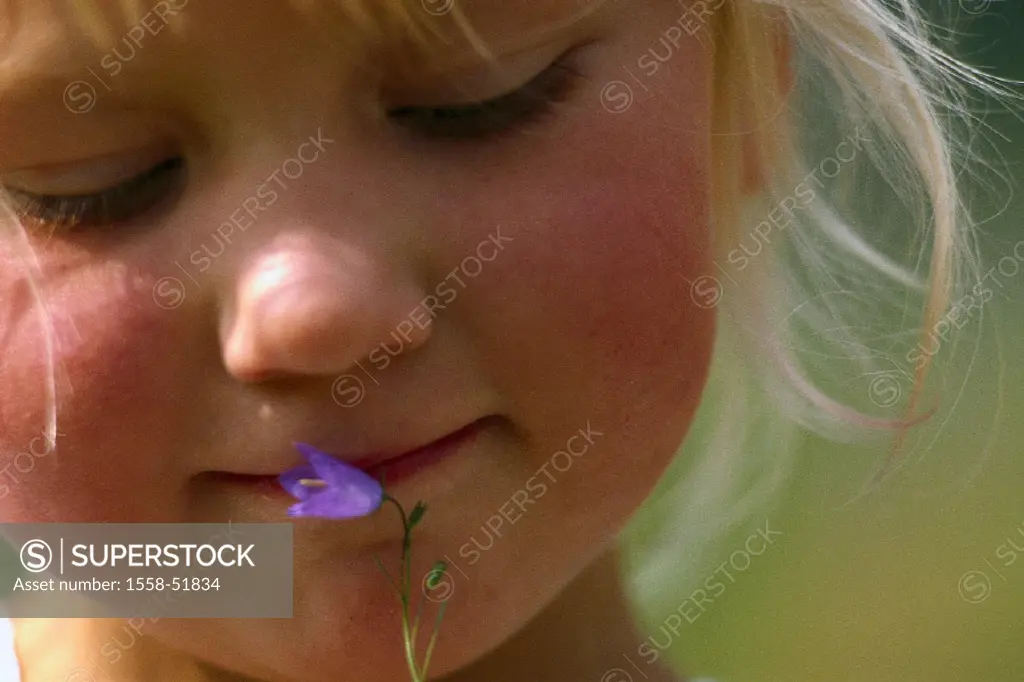 Child, girls, gaze, bluebell, lowered smells, portrait, detail, summer, toddler, childhood, blond, flower, mouth, shyly, broached
