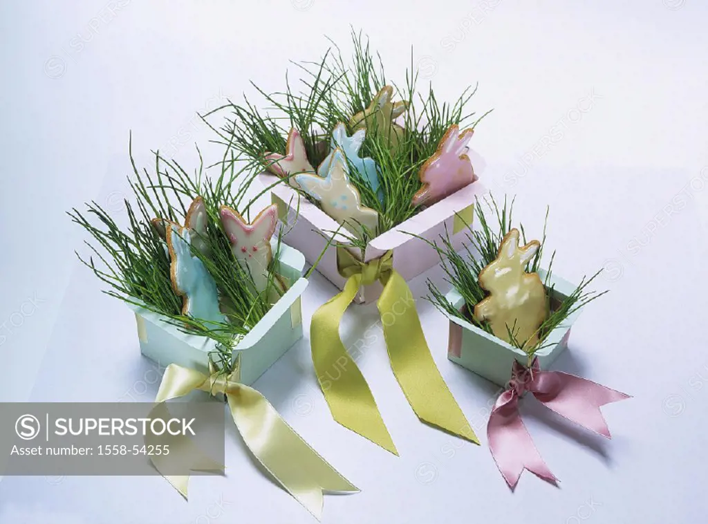 Easter, Easter nest, pastries, Eastertime, Easter decoration, decoration, carton, three, bows, grass, places, Easter bunnies, still life, studio