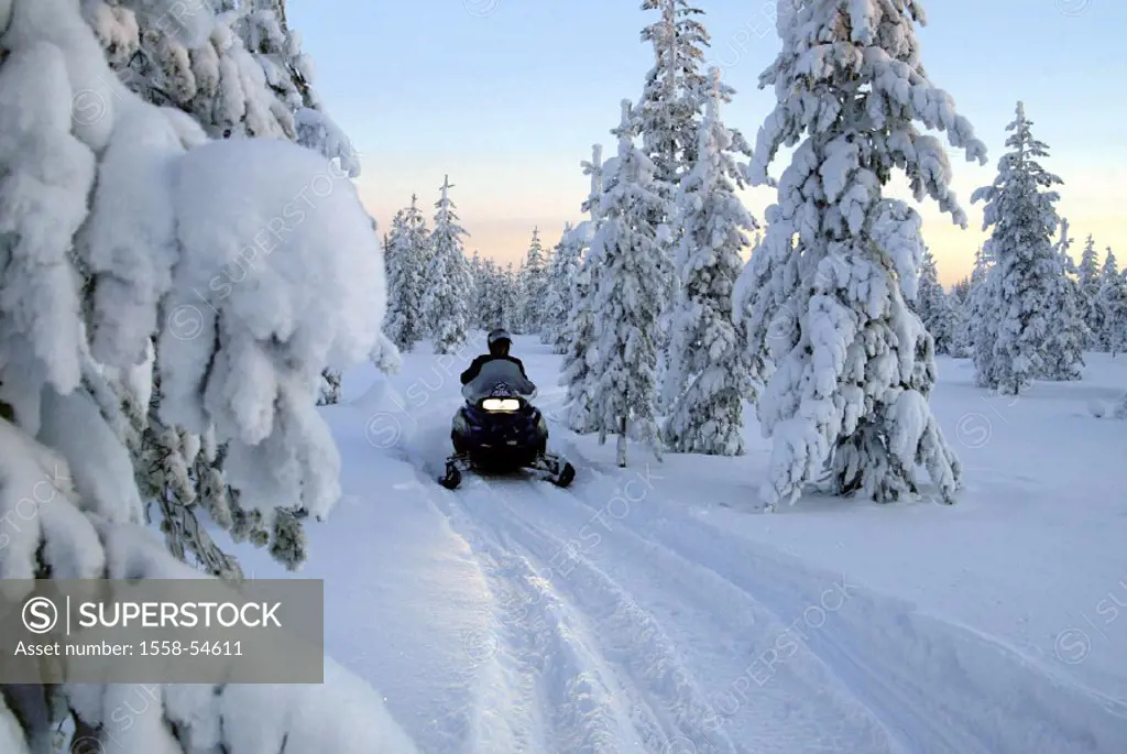 Finland, winter forest, Skidoo