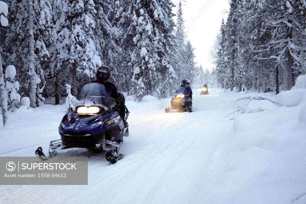 Finland, winter forest, tourists