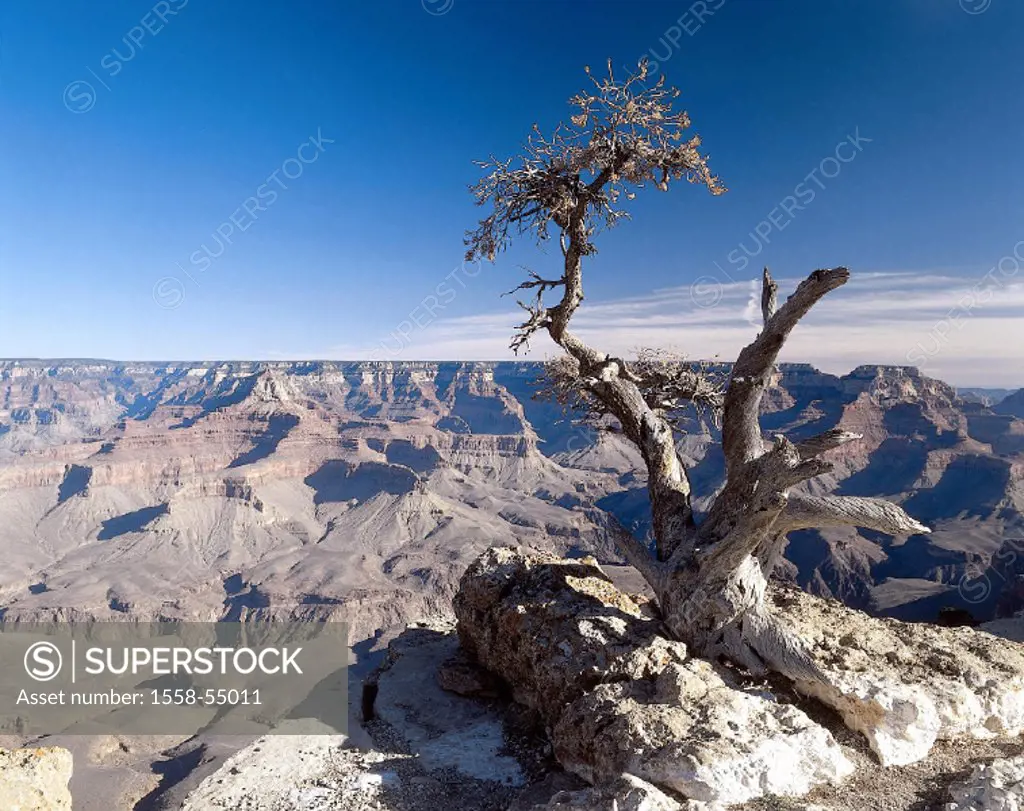 USA, Arizona, Grand Canyon national park