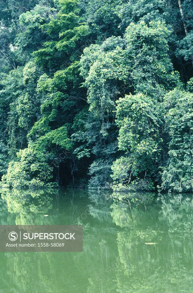 Gabon, jungles, river
