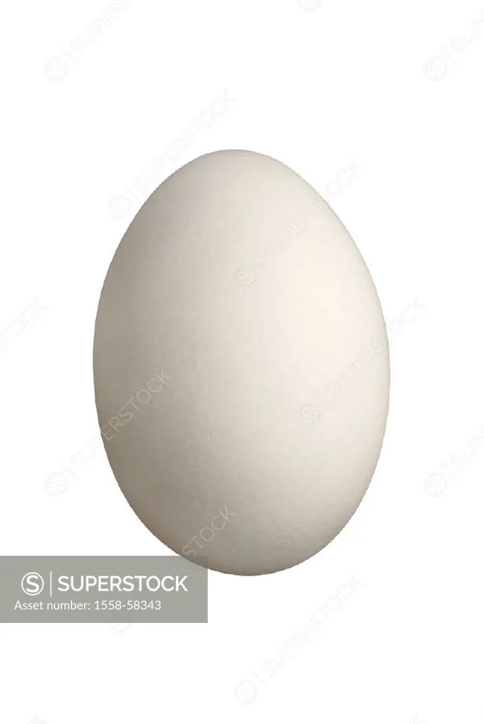 Egg, white, still life