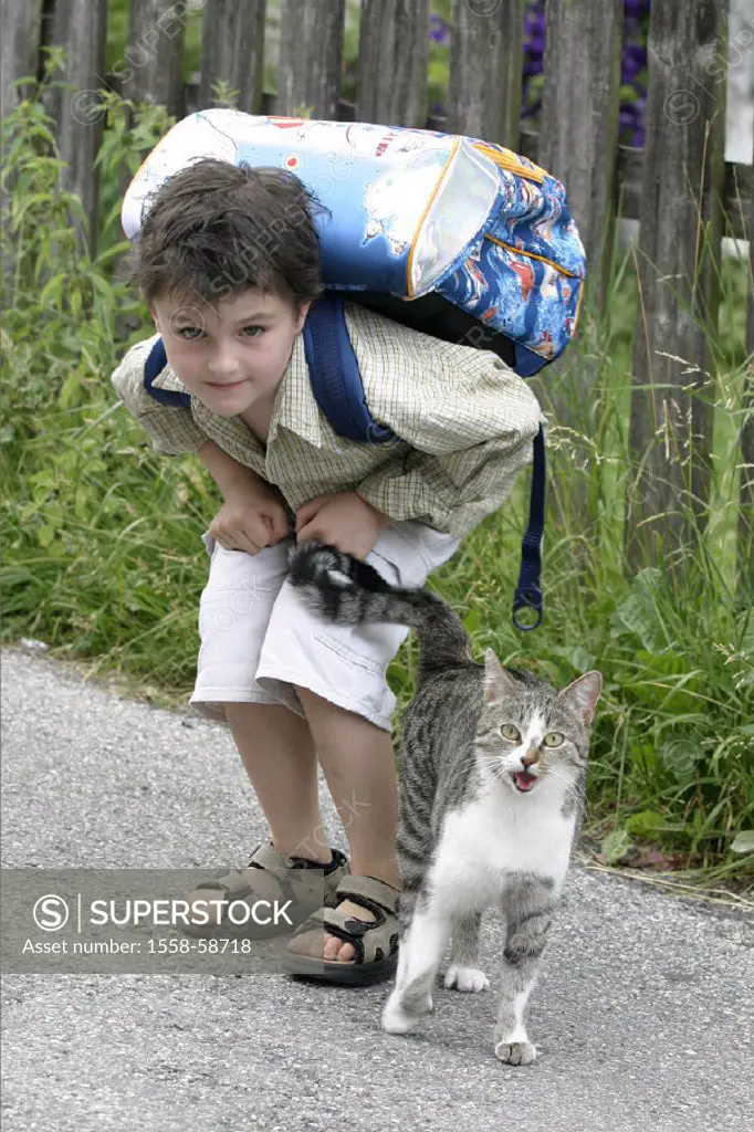 Roadside, schoolboy, cat