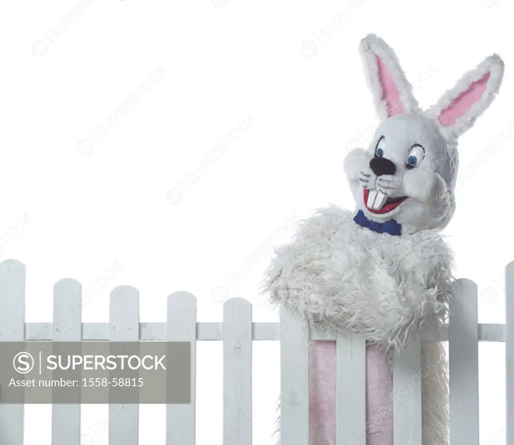 Fence, Easter bunny, leans,  Half portrait  Hare, Easter, Easter, child beliefs, disguise, disguises, outfit, hare outfit, humor, fun, merrily, kindly...