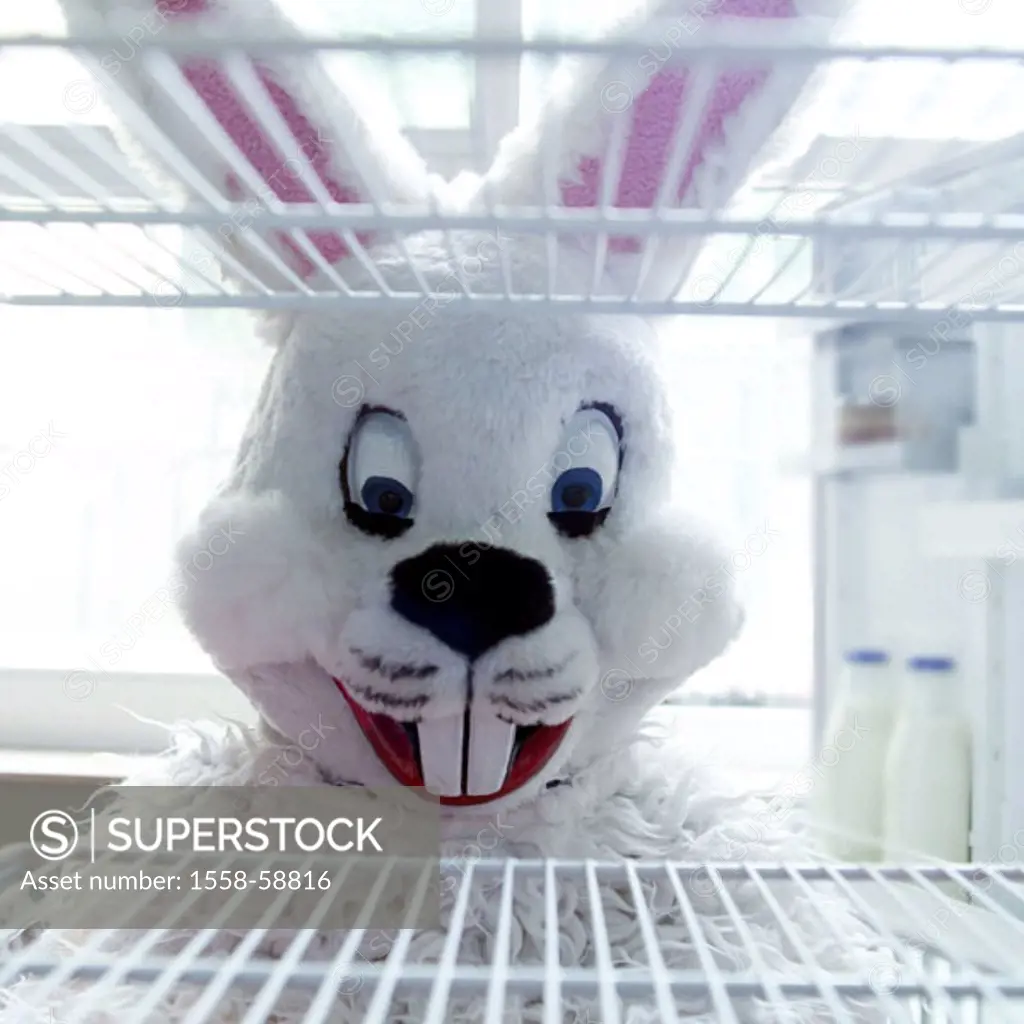 Refrigerator, empty, Easter bunny, portrait,   Hare, Easter, Easter, child beliefs, disguise, disguises, outfit, hare outfit, humor, fun, merrily, Eie...