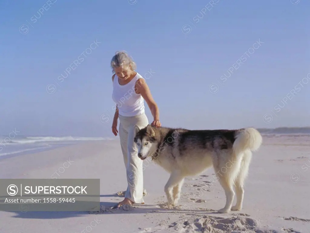 Sandy beach, sea, senior, walk,,  barefoot, dog, at the side  Series, woman, well Age, 60-70 years long-haired, grey-haired leisurewear leisure time L...