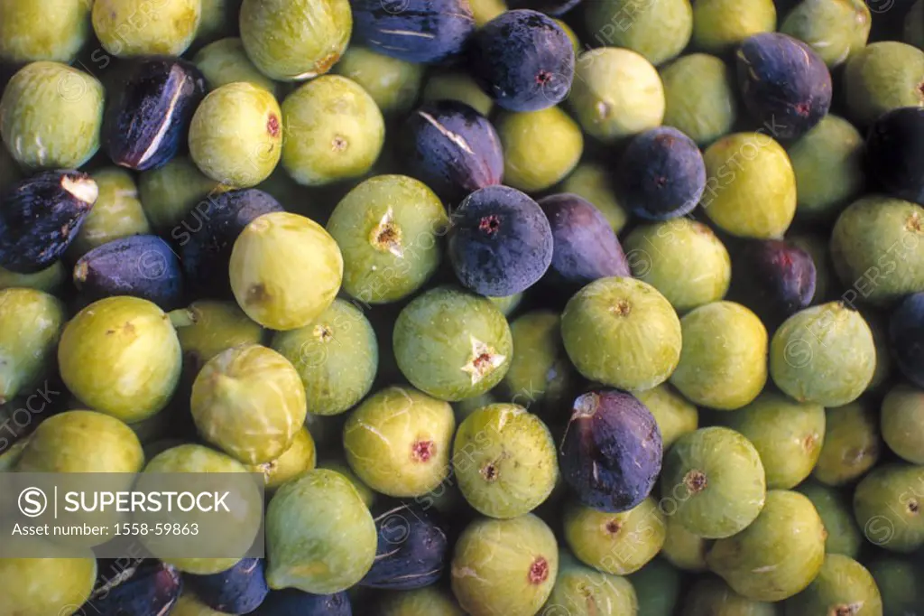 Figs, green, violet, detail   Fruit, fruits, tropical, South fruits, Ficus carica,  Mulberry plants, food, food, fact reception, still life