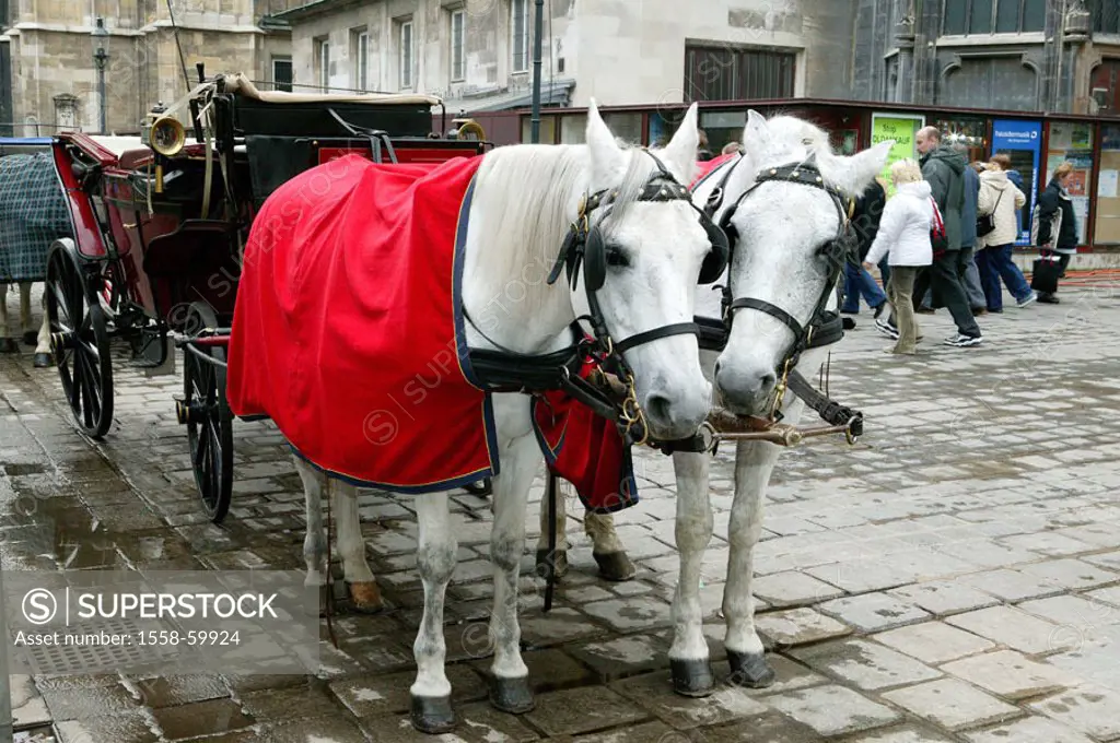 Austria, Vienna, Stephan place,  Horse carriage, horses, blankets  Europe, street of the emperors and kings, capital,  City, culture city, place, carr...