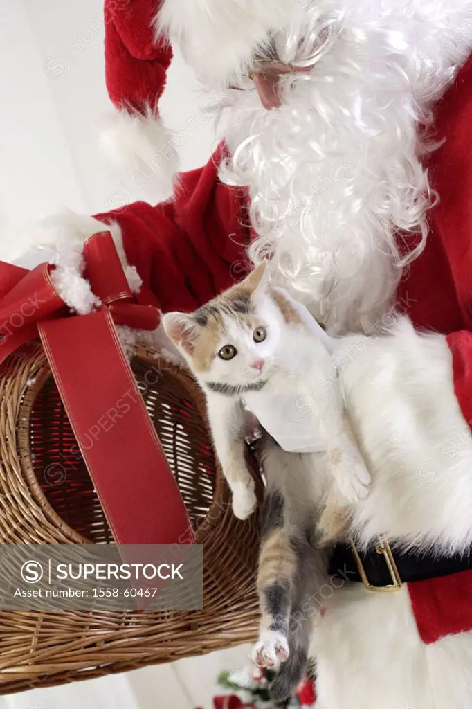 Santa Claus, basket, cat, holding, detail  Christmas, , Bescherung, gift, Christmas gift, surprise, Transportkorb, Animal, animal, cats, kittens, hous...