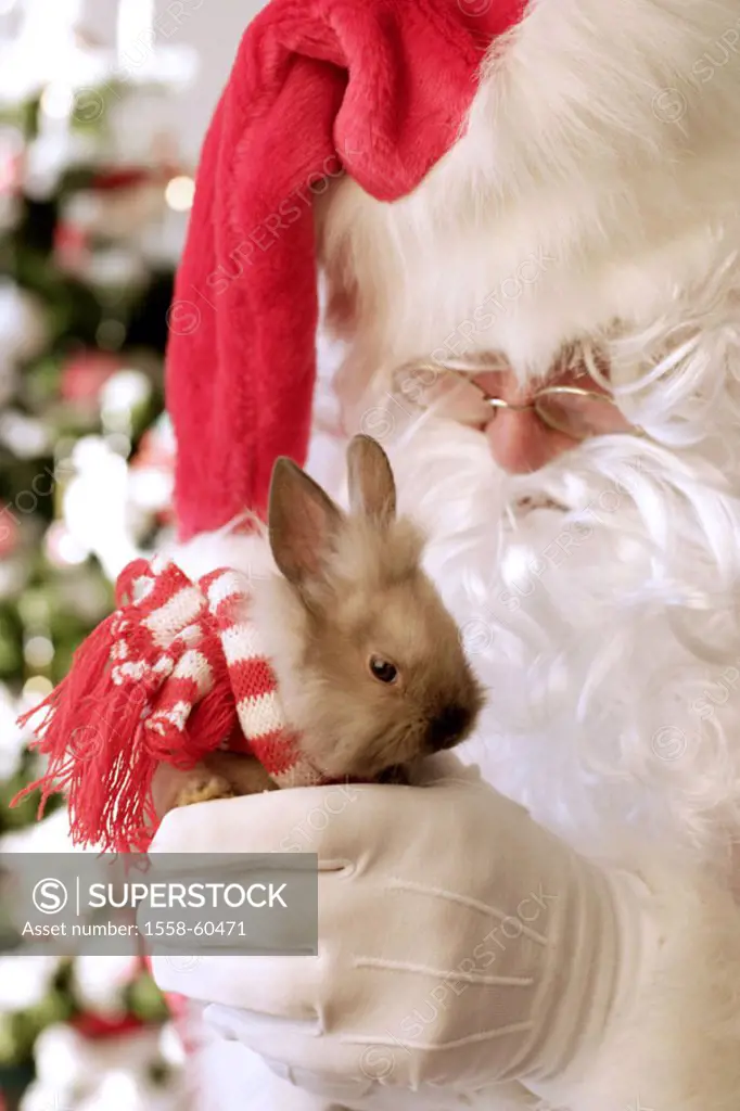 Santa Claus, rabbits, holding,  Detail  Christmas, , Bescherung, gift, Christmas gift, surprise, animal, animal,  Hares, hare, scarf, red-white, gives...