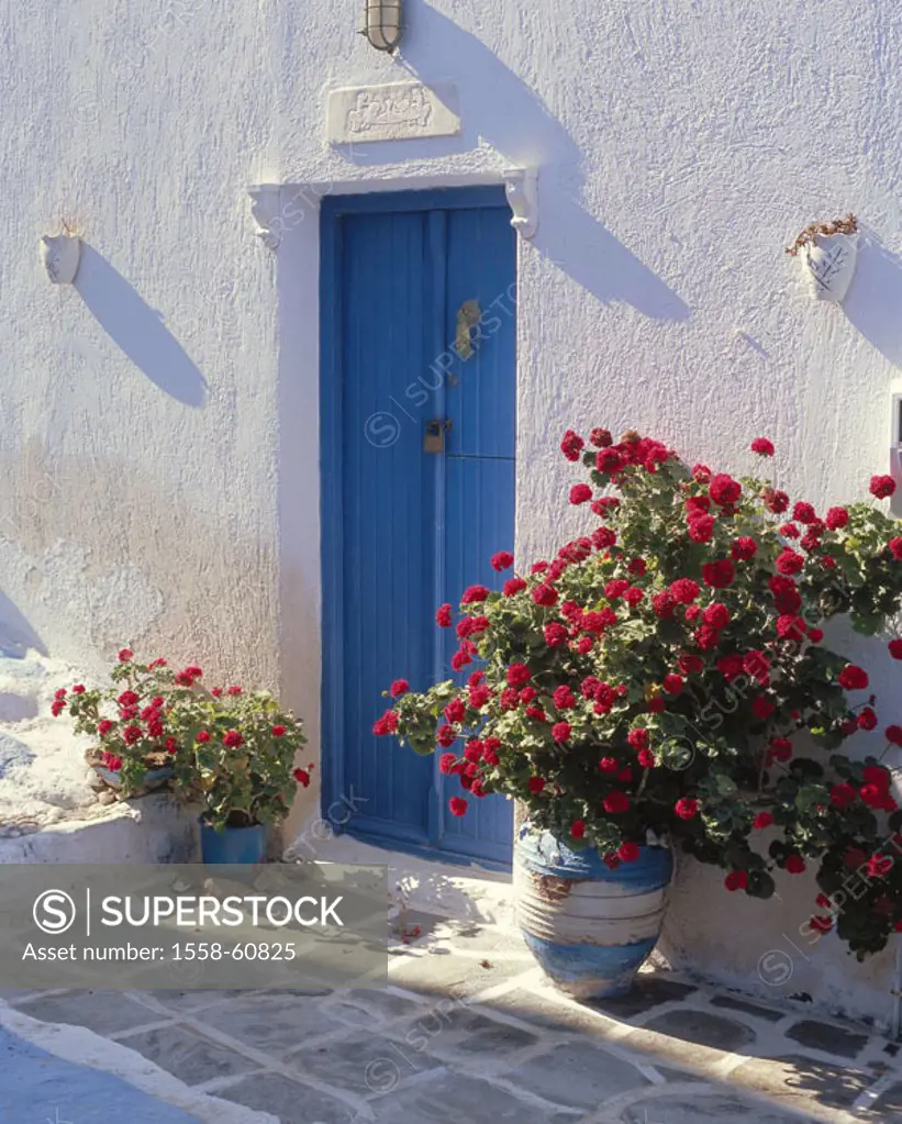 Greece, western Kykladen,  Island Milos, Plaka, residence,  Is in store detail, flower sticks, Europe, southeast Europe, white entrance Kykladeninsel,...