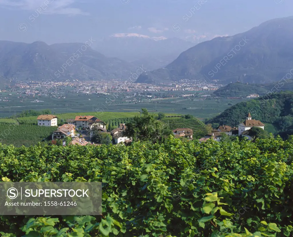 Italy, South Tyrol, Eppan, skyline,  Background Bozen  Europe, Southern Europe, North Italy, Alto Adige, Miss Ian, place, place, wine place, city, cit...