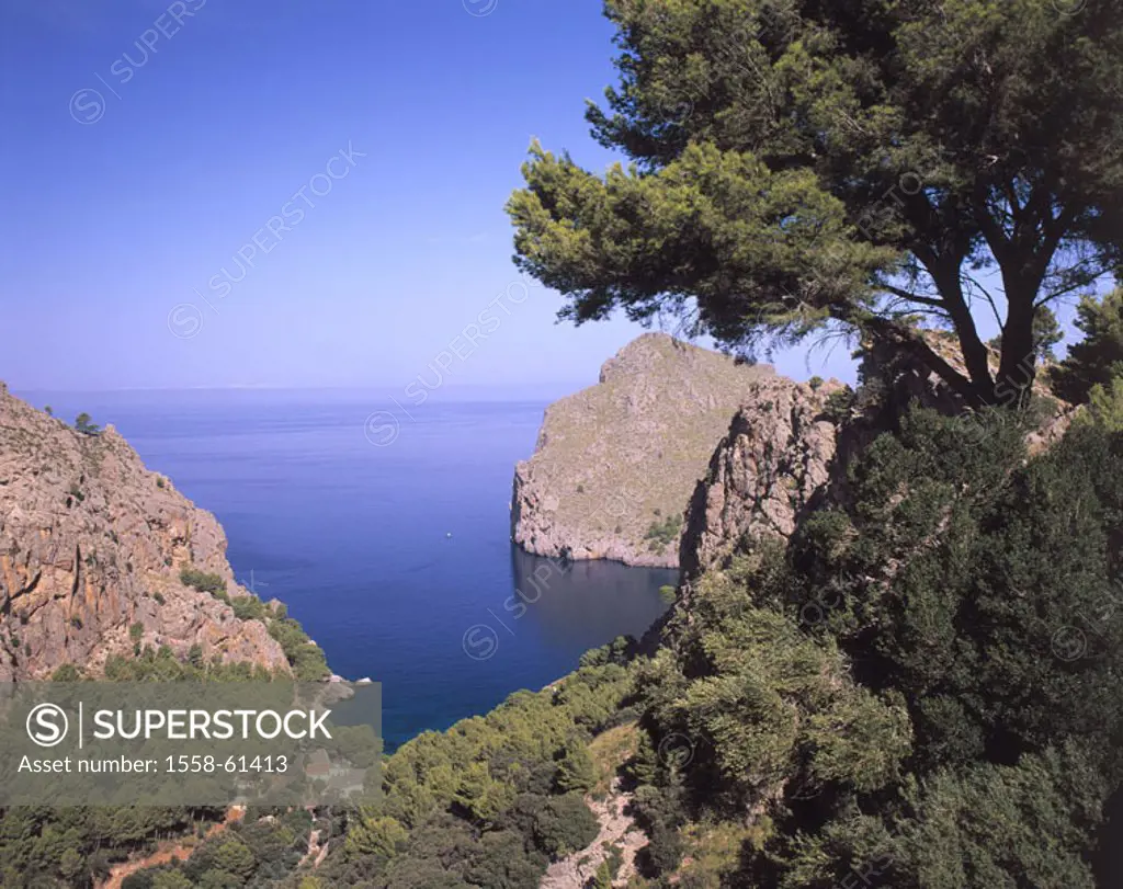 Spain, island Majorca, Cap forms Formentor   Europe, Espana, , Balearic Islands, Mediterranean island, Mediterranean, sea, cape, rocks, rock coast, co...