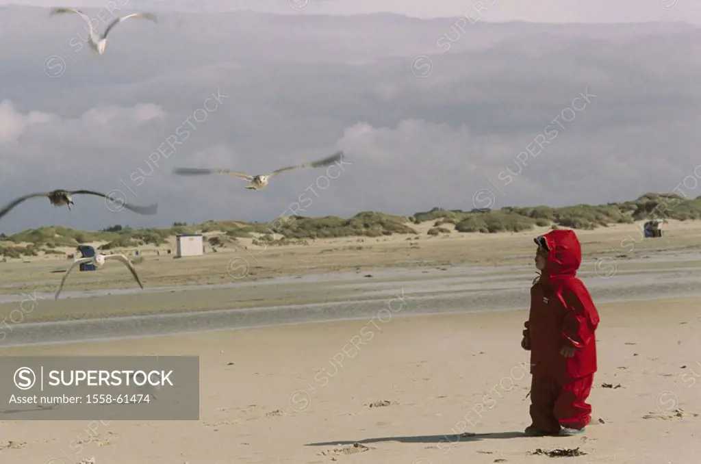 Sandy beach, girls, rainwear,  Observation, seagulls, flight  Child, toddler, 2 years, rainwear, red, rain suit, hood, childhood, experience, vacation...